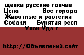 щенки русские гончие › Цена ­ 4 000 - Все города Животные и растения » Собаки   . Бурятия респ.,Улан-Удэ г.